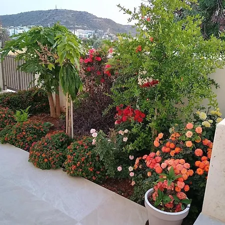 Brand New 4 Bedroom In Palodeia Palodia